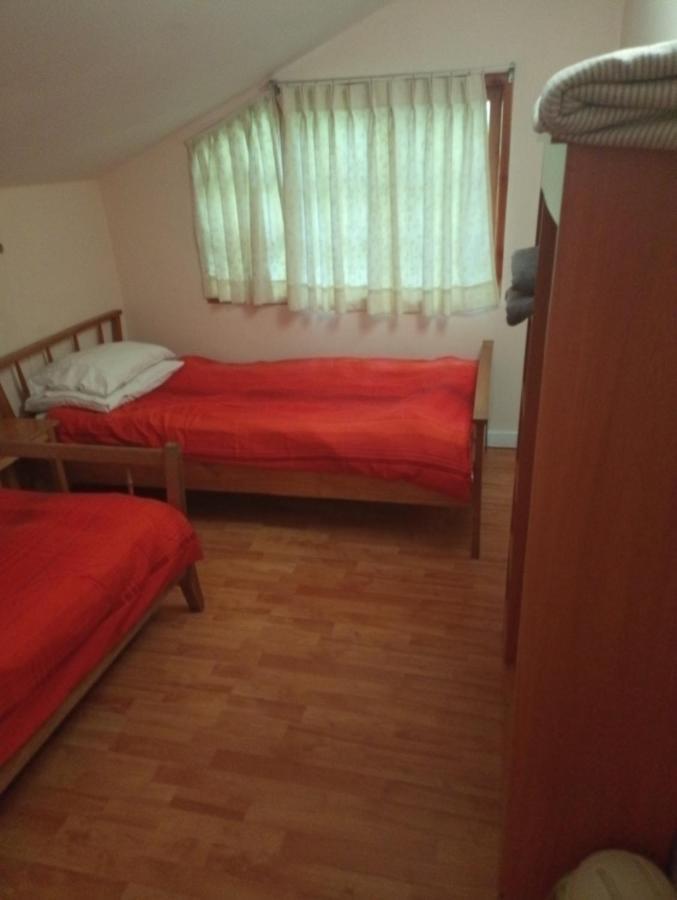 Omi Kika B&B Villarrica Eksteriør billede