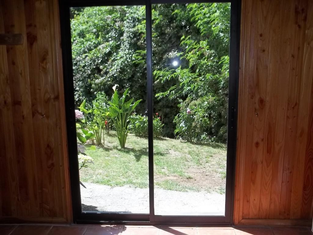 Omi Kika B&B Villarrica Eksteriør billede