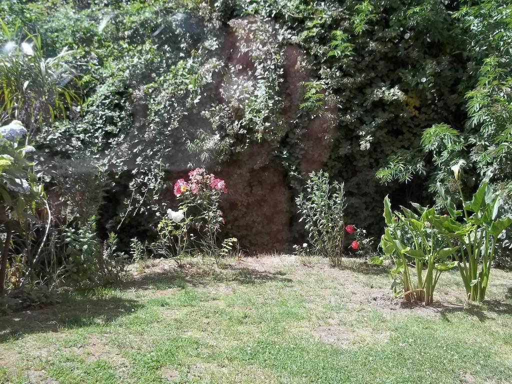 Omi Kika B&B Villarrica Værelse billede