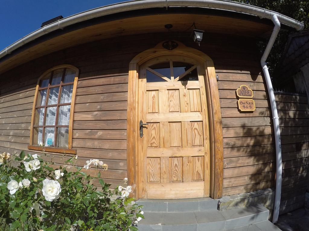 Omi Kika B&B Villarrica Eksteriør billede