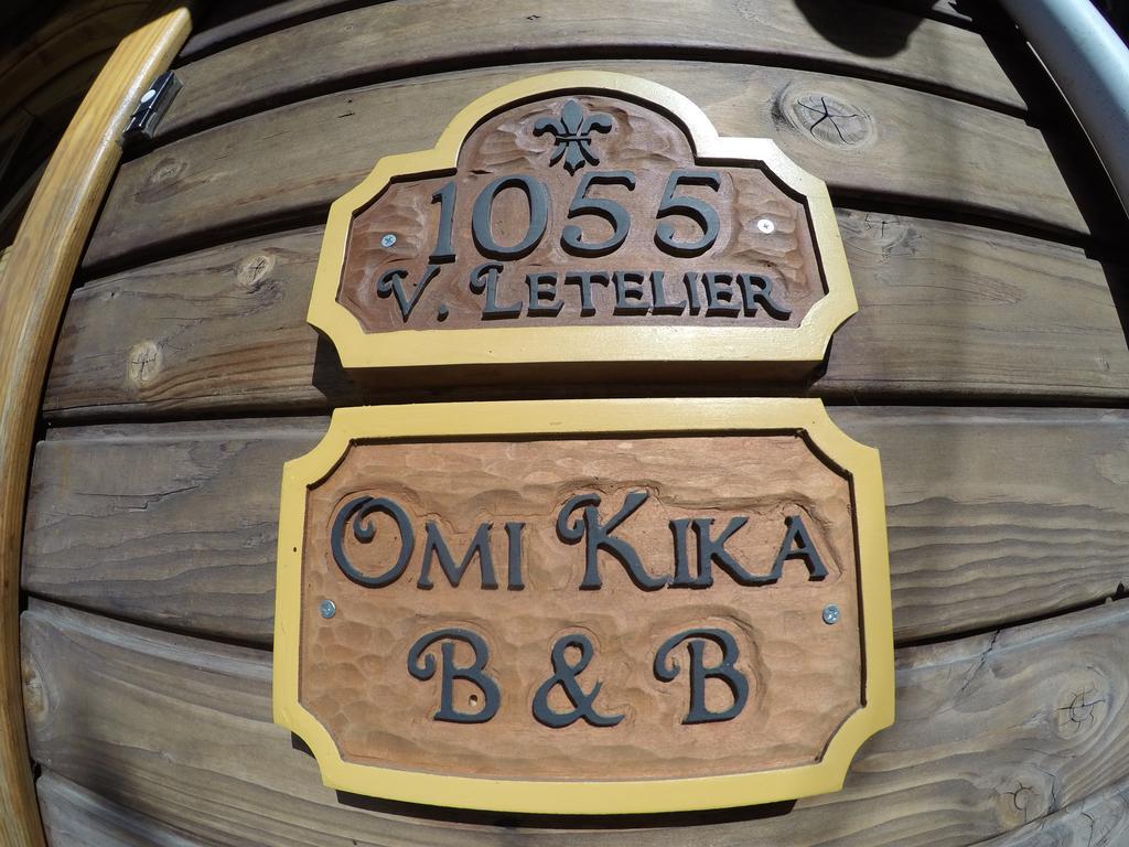 Omi Kika B&B Villarrica Eksteriør billede