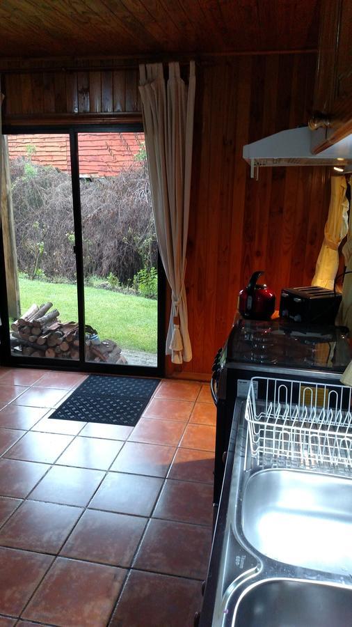 Omi Kika B&B Villarrica Eksteriør billede