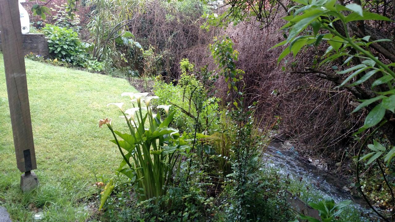 Omi Kika B&B Villarrica Eksteriør billede