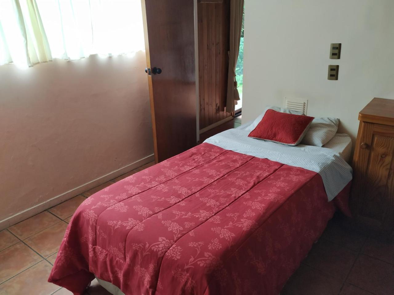 Omi Kika B&B Villarrica Eksteriør billede