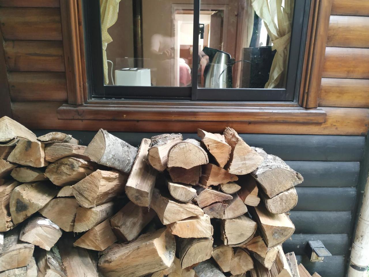 Omi Kika B&B Villarrica Eksteriør billede