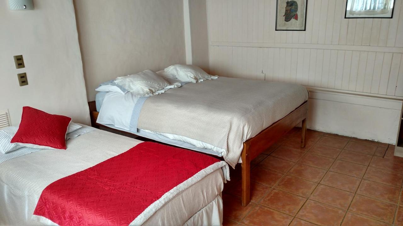 Omi Kika B&B Villarrica Eksteriør billede